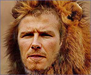 beckham